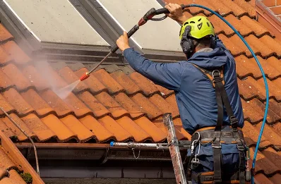 Démoussage et hydrofuge de toiture à Domjulien